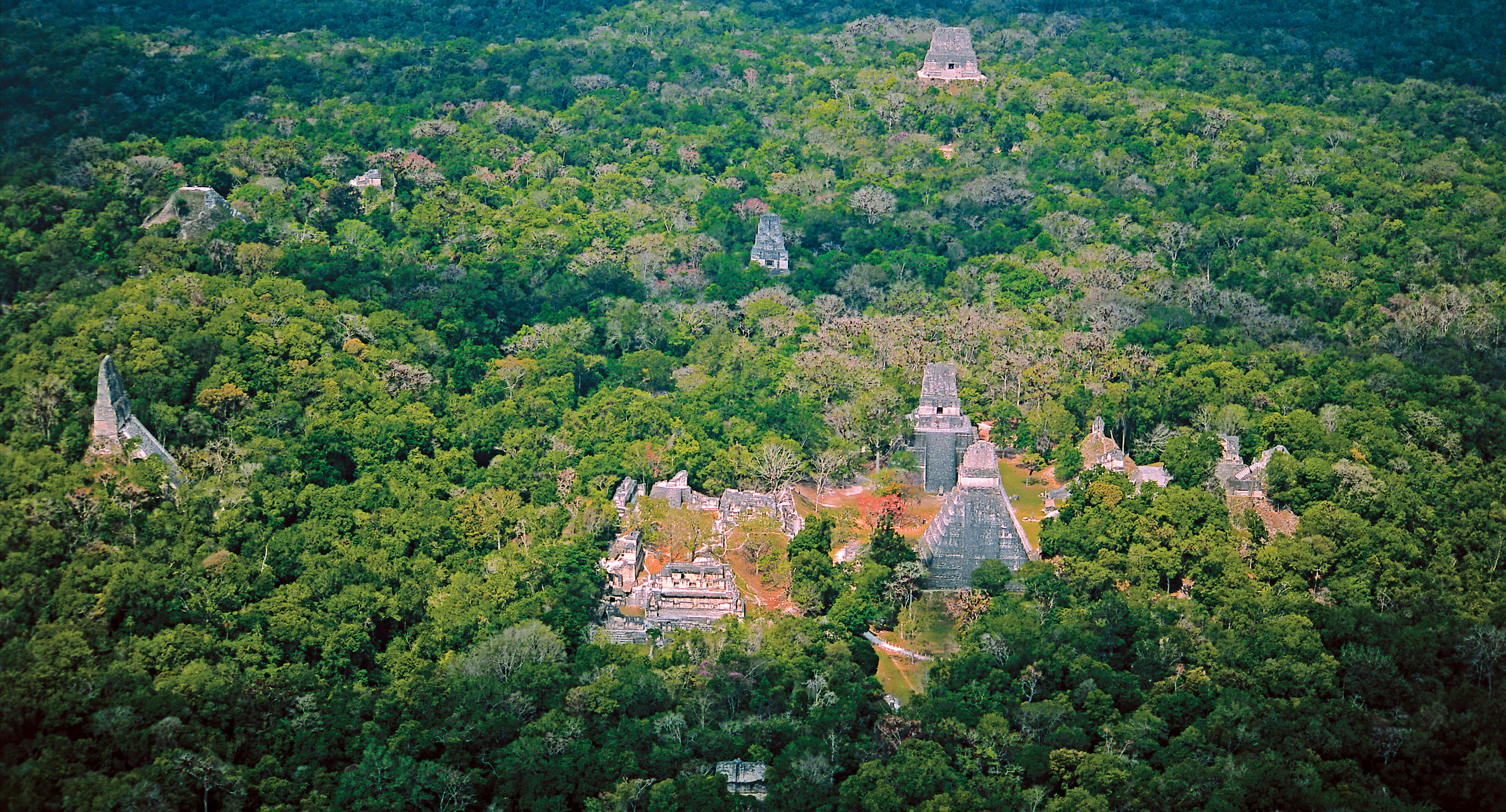 pyramids guatemala, jungle, davor rostuhar, dzungla