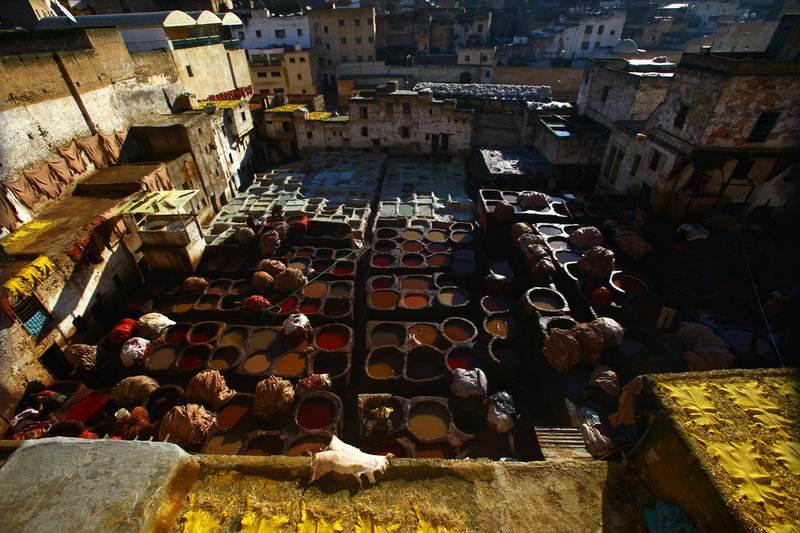 fes, leather painting, morocco, davor rostuhar, fes roofs, leather painting